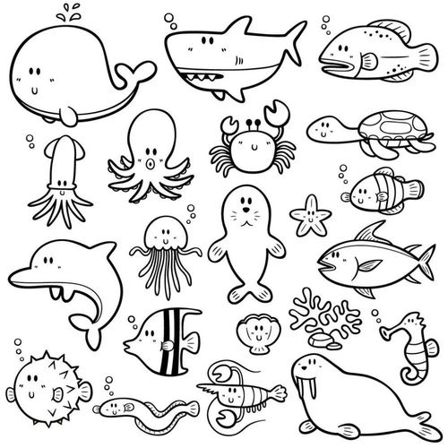 海洋可爱简笔画（海洋简笔画图片大全彩色可爱）(8)