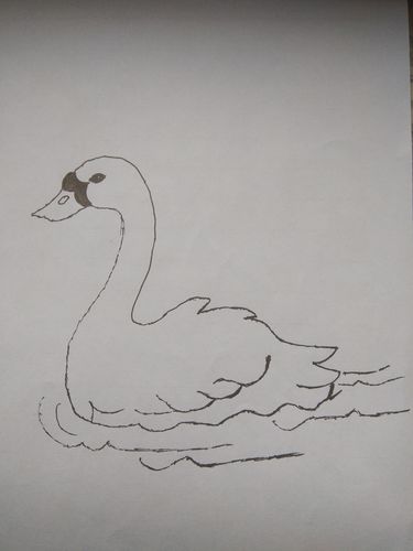 在水中游泳的鹅简笔画（大白鹅在水里游的简笔画）(6)