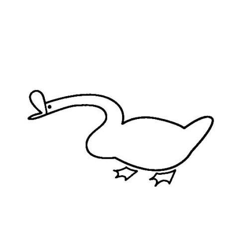 在水中游泳的鹅简笔画（大白鹅在水里游的简笔画）(8)