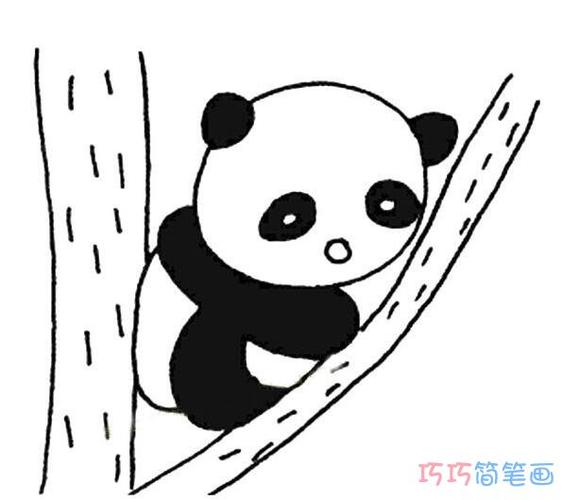 爬树的熊猫简笔画（100个熊猫的简笔画）(5)