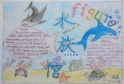 海洋动物英语手抄报（保护海洋动物英文手抄报）(4)