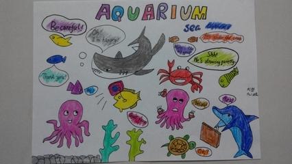 海洋动物英语手抄报（保护海洋动物英文手抄报）(9)