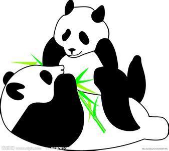 隔着玻璃观看熊猫简笔画（正面荡秋千的熊猫简笔画）(10)