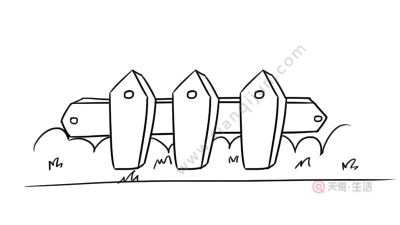 简笔画墙上的圆形篱笆（篱笆简笔图画）(6)