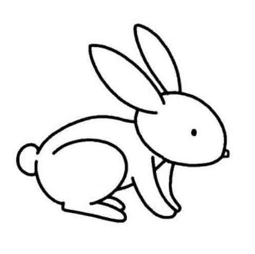 简笔画图可爱的小兔子（可爱小兔子简笔画图解）(8)