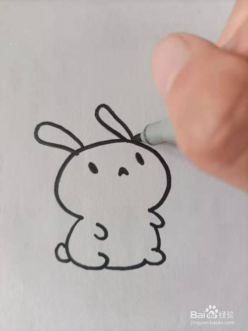 简笔画图可爱的小兔子（可爱小兔子简笔画图解）(10)
