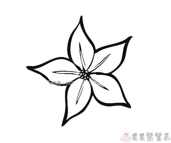 各总各样的花简笔画（又大又好看的花简笔画）(10)