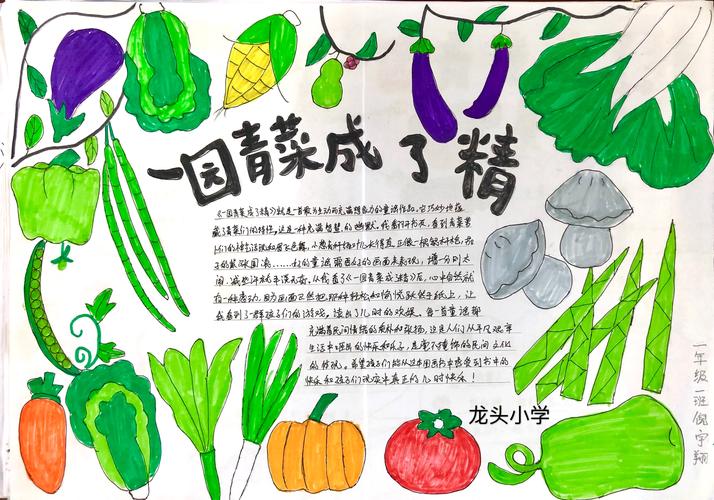 蔬菜手抄报文字（有关蔬菜的手抄报图片）(5)