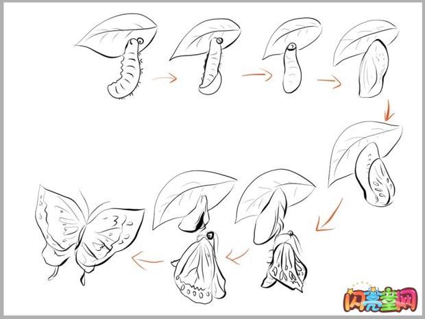 毛毛虫变蝴蝶的简笔画（儿童画毛毛虫变蝴蝶的过程简笔画）(1)