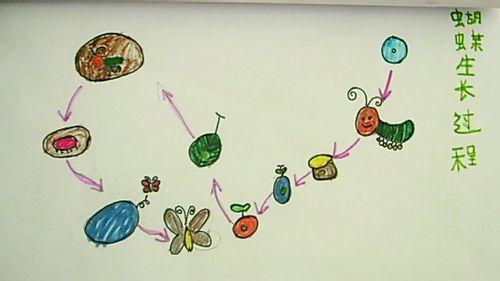 毛毛虫变蝴蝶的简笔画（儿童画毛毛虫变蝴蝶的过程简笔画）(4)