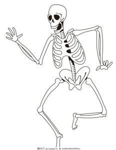 儿童骨骼发育异常简笔画（儿童身体各部位简笔画）(1)
