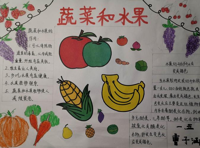 蔬菜手抄报文字（有关蔬菜的手抄报图片）(9)