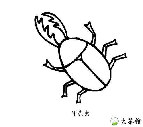我想看甲壳虫简笔画（甲壳虫卡通简笔画大全）(2)