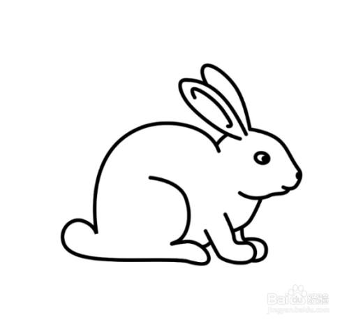 动物简笔画(兔子)（简笔画动物兔子图片）(4)