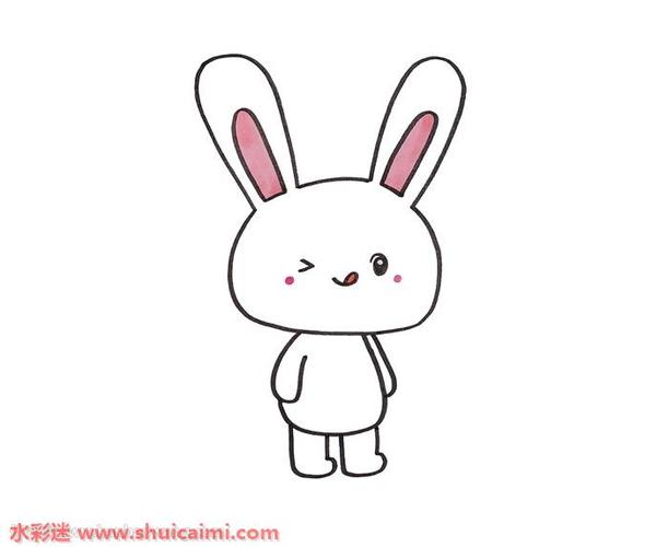 动物简笔画(兔子)（简笔画动物兔子图片）(8)