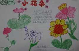 介绍花朵手抄报（以花朵为版面的手抄报）(6)