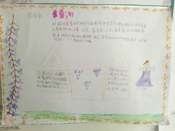 三年级卖葡萄的手抄报（小学生三年级月季手抄报）(9)