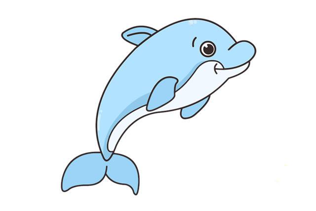 海豚是什么样子的简笔画（大海豚怎么画）(4)