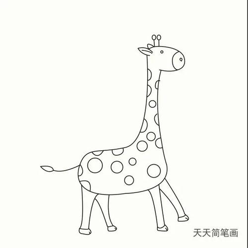 长颈鹿弯下脖子简笔画（张嘴长颈鹿简笔画）(10)