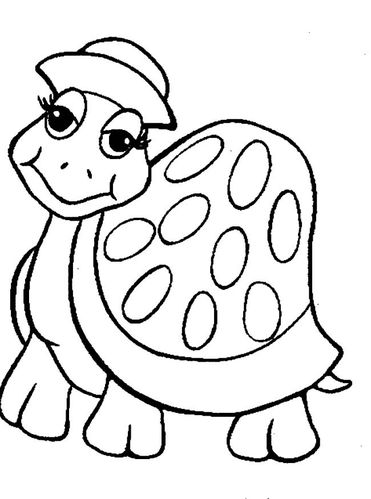 两只乌龟的简笔画（各种乌龟简笔画）(5)