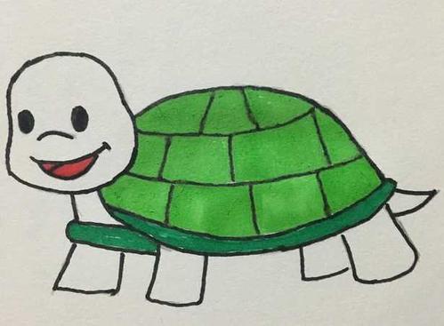两只乌龟的简笔画（各种乌龟简笔画）(8)