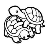 两只乌龟的简笔画（各种乌龟简笔画）(9)