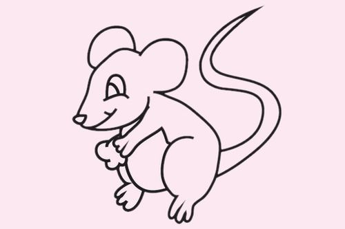 俄罗斯老鼠简笔画图片（正方形老鼠简笔画）(3)
