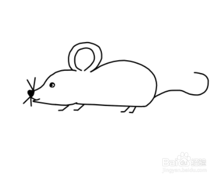 俄罗斯老鼠简笔画图片（正方形老鼠简笔画）(8)