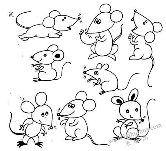 俄罗斯老鼠简笔画图片（正方形老鼠简笔画）(10)