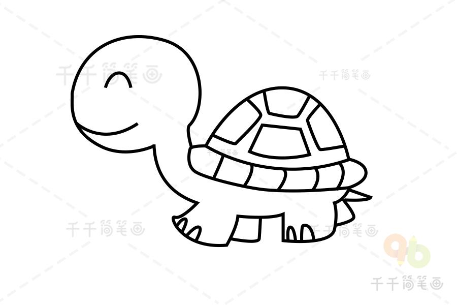 儿童简笔画乌龟图片