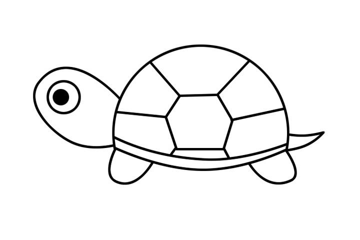 儿童简笔画乌龟图片（乌龟简笔画图片大全幼儿园）(2)