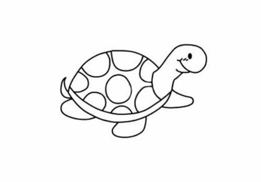 儿童简笔画乌龟图片（乌龟简笔画图片大全幼儿园）(10)