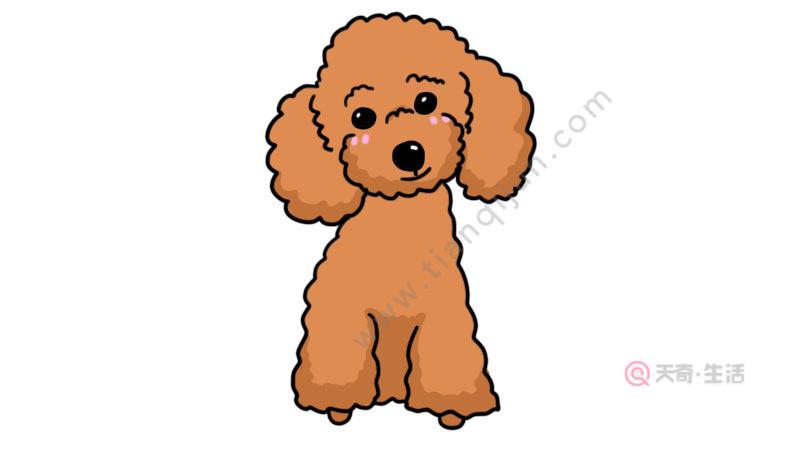 泰迪狗狗和主人的简笔画（简笔画泰迪狗的图片）(1)