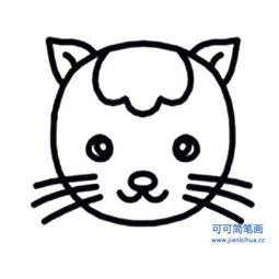 网络简笔画猫猫头像（画的猫猫头像）(3)