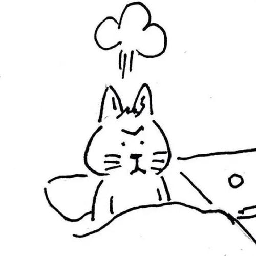 网络简笔画猫猫头像（画的猫猫头像）(6)