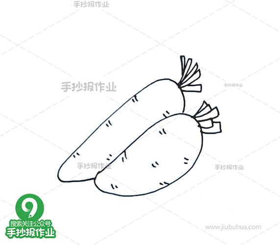 白萝卜制作的美食简笔画（南瓜做成的美食简笔画）(1)