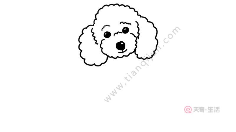 泰迪狗狗和主人的简笔画（简笔画泰迪狗的图片）(6)