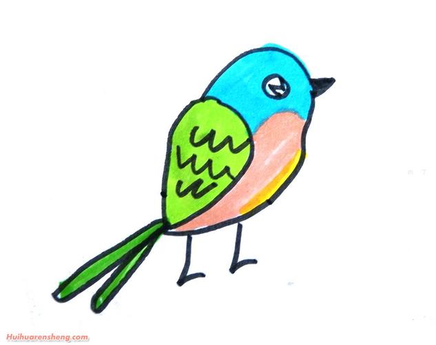 用简笔画画一个简单的鸟（画各种鸟的简笔画）(2)