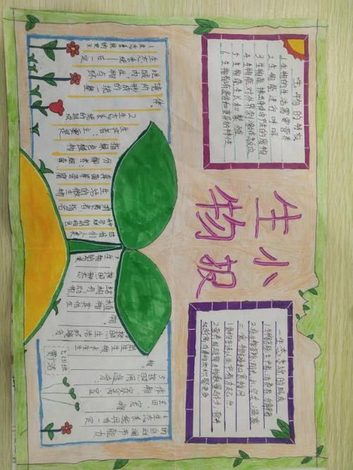 七年级生物手抄报名言警句（七年级下册生物手抄报全书资料）(4)