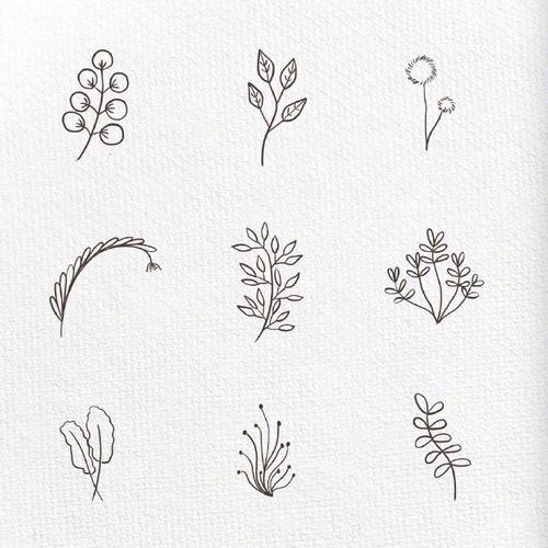园林植物简笔画图片（花草树简笔画大全大图）(3)