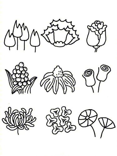 园林植物简笔画图片（花草树简笔画大全大图）(10)