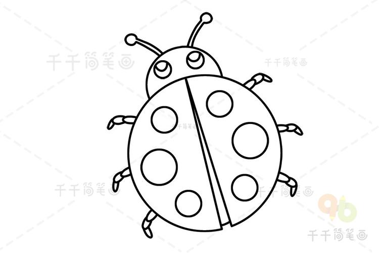 可爱瓢虫简笔画（瓢虫彩色简笔画图片）(5)