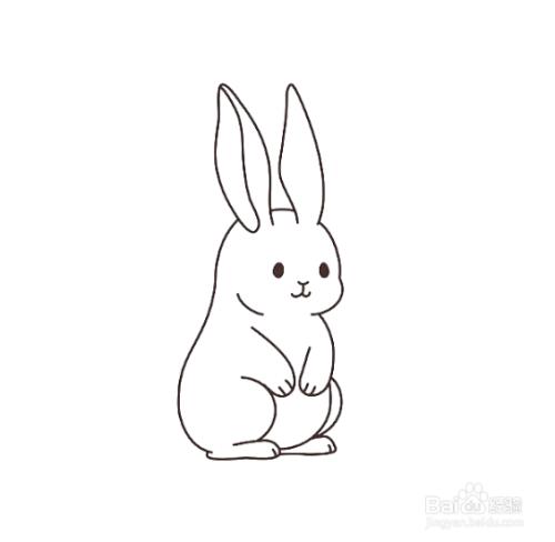 兔子简笔画小学生怎么画（兔子如何画简笔画）(2)
