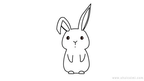 兔子简笔画小学生怎么画（兔子如何画简笔画）(9)