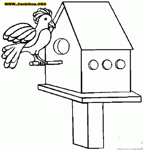 房子上面画两只鸟简笔画（小鸟在窝里睡觉怎么画简笔画）(5)