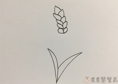 一大片麦子简笔画儿童画