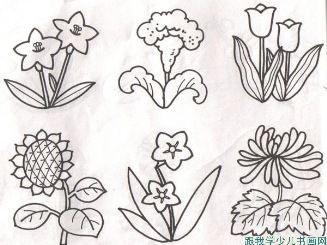 节日花卉表现形式简笔画（花卉组合简笔画）(5)