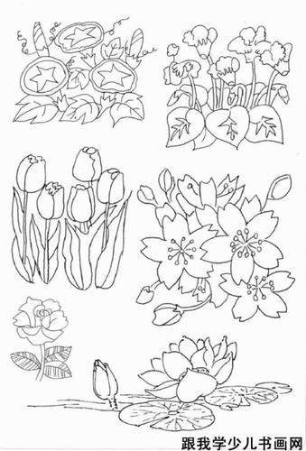 节日花卉表现形式简笔画（花卉组合简笔画）(7)