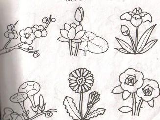 节日花卉表现形式简笔画（花卉组合简笔画）(9)