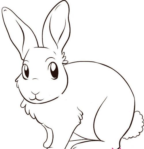 兔子人物圖片簡筆畫（高清簡筆畫兔子照片）